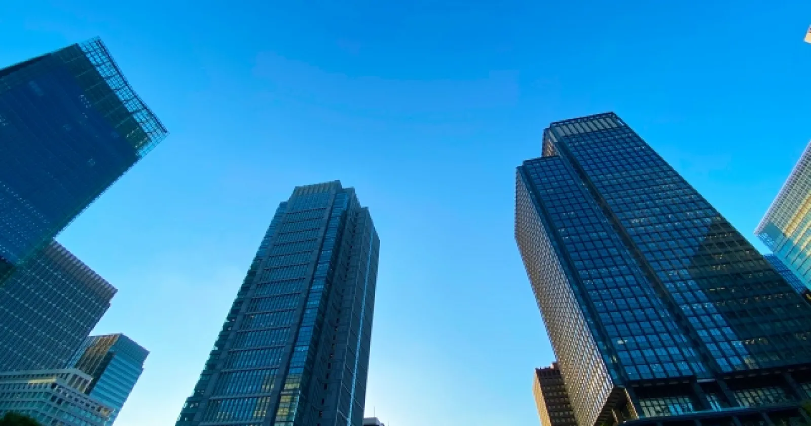Marketing/e-commerce Job 대표 이미지