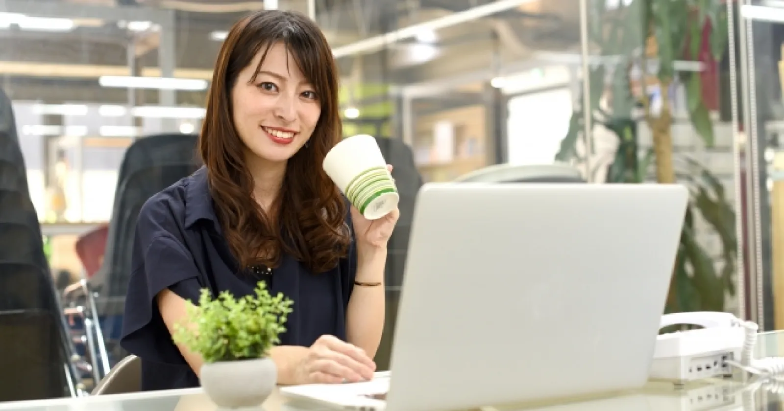 Accounting/HR/admin Job 대표 이미지