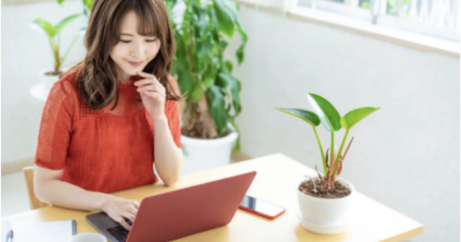 市场营销/网络销售 职位 대표 이미지