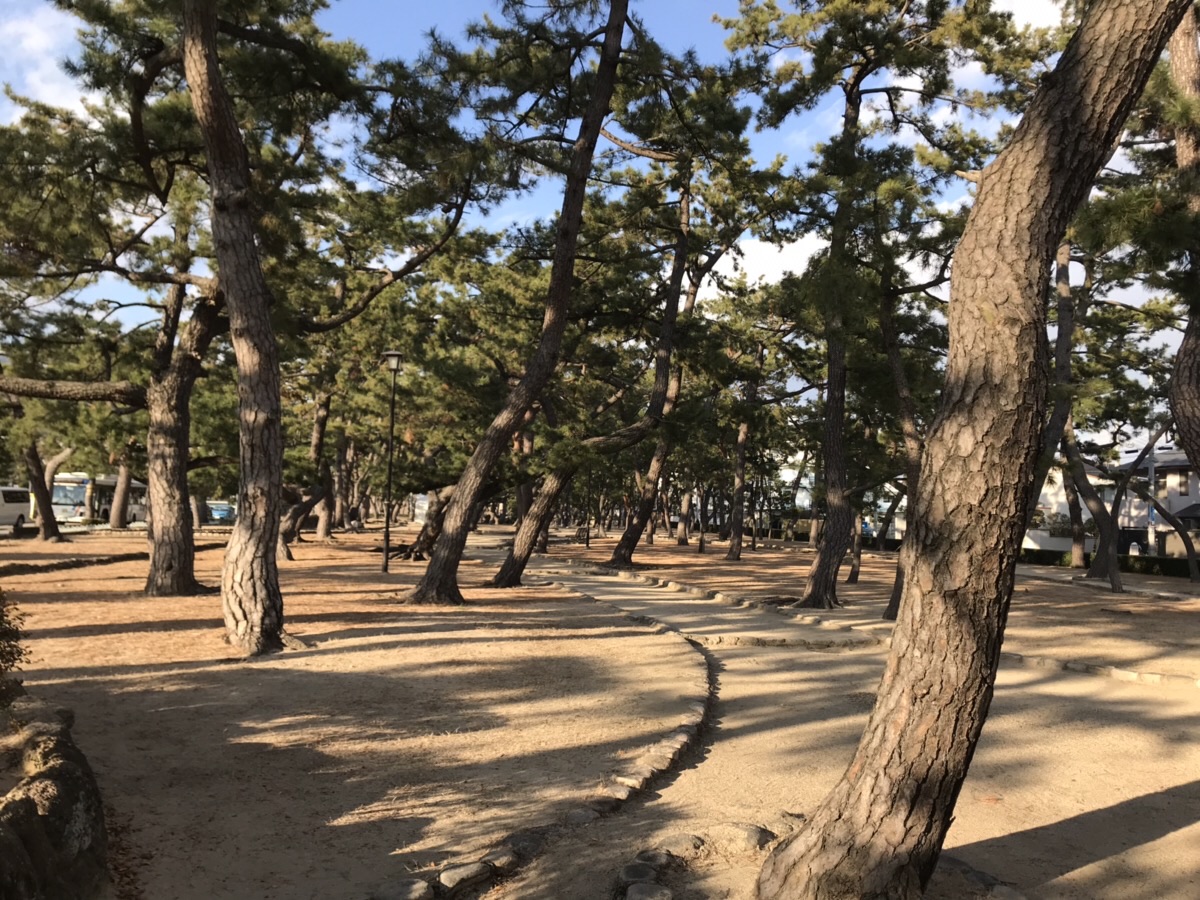 아시야 동네 사진