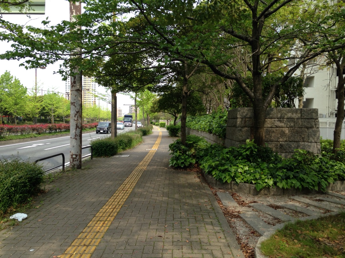 모모치 동네 사진