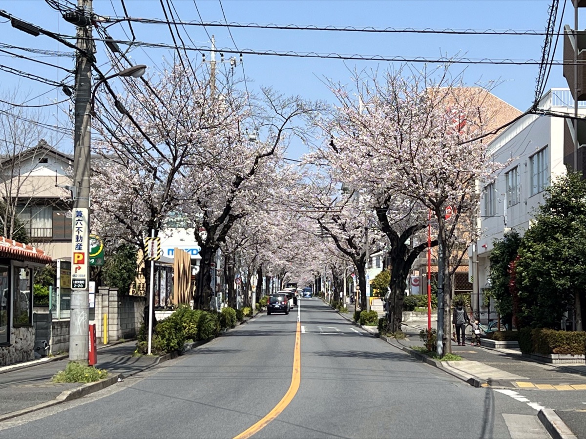오이즈미가쿠엔 동네 사진
