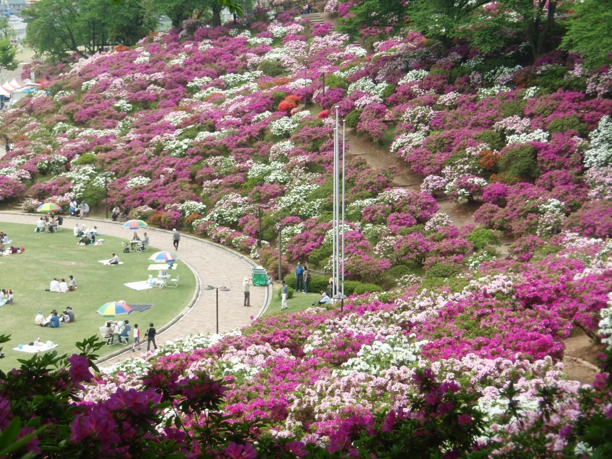 사바에 동네 사진