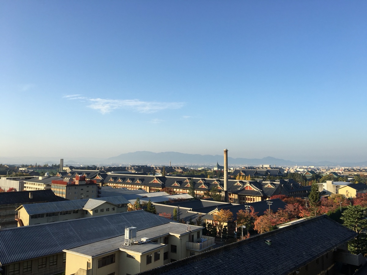 덴리 동네 사진